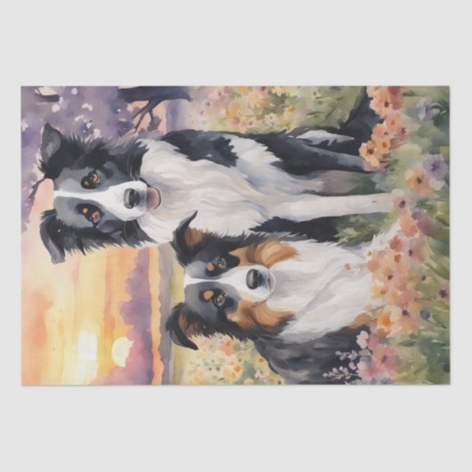 Grens Collie en Australian Shepard decoupage Tissuepapier (Voorkant)