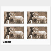 "Grens Collie en Lam"~Sticker Rechthoekige Sticker (Vel)