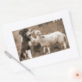 "Grens Collie en Lam"~Sticker Rechthoekige Sticker (Envelop)