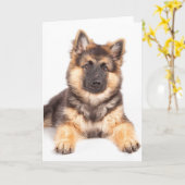 Grens collie German Shepherd Mix Kaart (Gele Bloem)