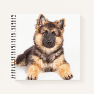 Grens collie German Shepherd Mix Notitieboek