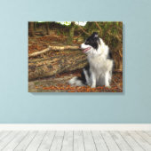 Grens Collie Hond in Herfst Bladerrijk Bos Canvas Afdruk (Insitu (Houten vloer))
