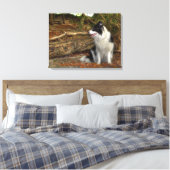 Grens Collie Hond in Herfst Bladerrijk Bos Canvas Afdruk (Insitu (Slaapkamer))