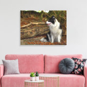 Grens Collie Hond in Herfst Bladerrijk Bos Canvas Afdruk (Insitu (Woonkamer))