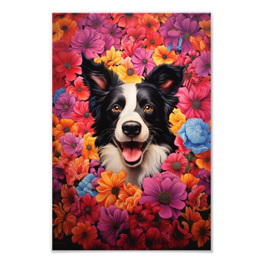 Grens Collie in bloemen Foto Afdruk (Voorkant)