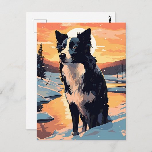 Grens Collie in het besneeuwde bos tijdens zonsond Briefkaart (Voorkant / Achterkant)