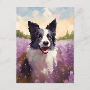 Grens Collie in Lavendel veld Briefkaart