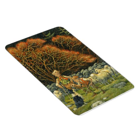 Grens Collie Magnet ~ Herder en Schaap Magneet (Rechterzijde)