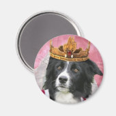 Grens Collie Magnet~Queen voor een dag Magneet (Voorkant / Achterkant)