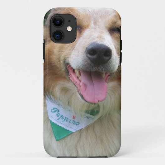 grens collie mix Case-Mate iPhone case (Achterkant)