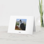 Grens Collie Pet Dog Animal Cute Destiny Gift Kaart (Achterkant)