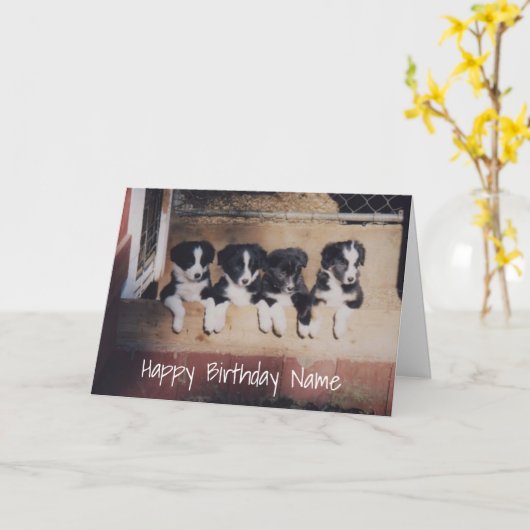 Grens Collie Puppies Persoonlijke Birthday Kaart (Gele Bloem)