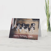 Grens Collie Puppies Persoonlijke Birthday Kaart (Voorkant)