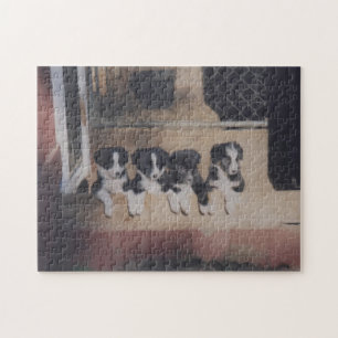 Grens Collie Puppy Litter Oil Painting Legpuzzel