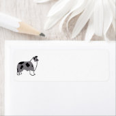 Grens Collie silo blauwe merle en wit Etiket (Insitu)