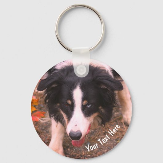 Grens Collie Stare Dog Persoonlijk Sleutelhanger (Voorkant)