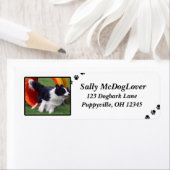 Grens Collie Tunnel Agility Etiket (Insitu)