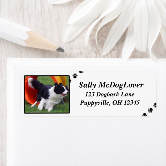 Grens Collie Tunnel Agility Etiket (Insitu)