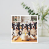Grens Collies, Hond verjaardagskaart, Hond Kaart (Staand voorkant)