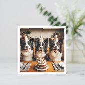 Grens Collies, Hond verjaardagskaart, Hond Kaart (Staand voorkant)