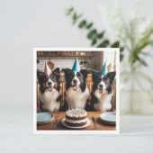 Grens Collies, Hond verjaardagskaart, Hond Kaart (Staand voorkant)