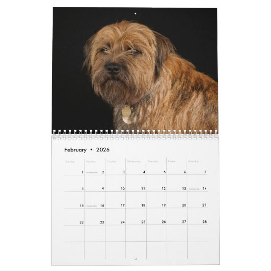 Grens Terrier Hond, Medium, Witte Kalender (Feb 2026)