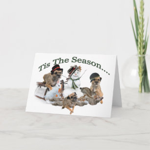 Grens Terrier Tis het Seizoen Feestdagen Kaart