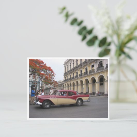  grens van havana briefkaart (Staand voorkant)