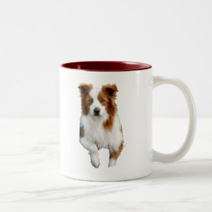 grenscollie2 tweekleurige koffiemok