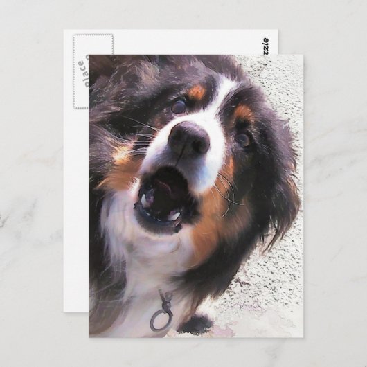 GRENSCOLLIE BRIEFKAART (Voorkant / Achterkant)