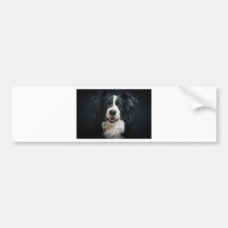 grenscollie bumpersticker