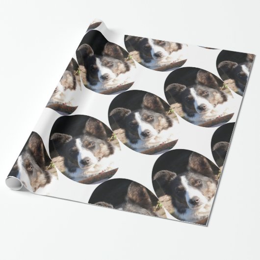 GRENSCOLLIE CADEAUPAPIER (Uitgerold)