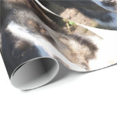 GRENSCOLLIE CADEAUPAPIER (Rol Hoek)