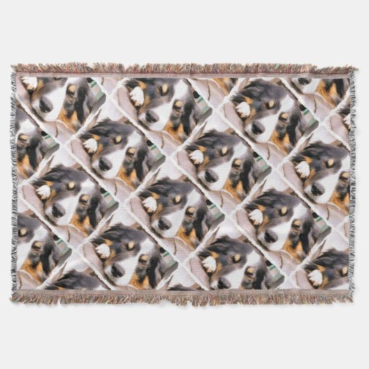 GRENSCOLLIE DEKEN (Voorkant)