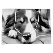 GRENSCOLLIE GROOT CADEAUZAKJE (Voorkant)