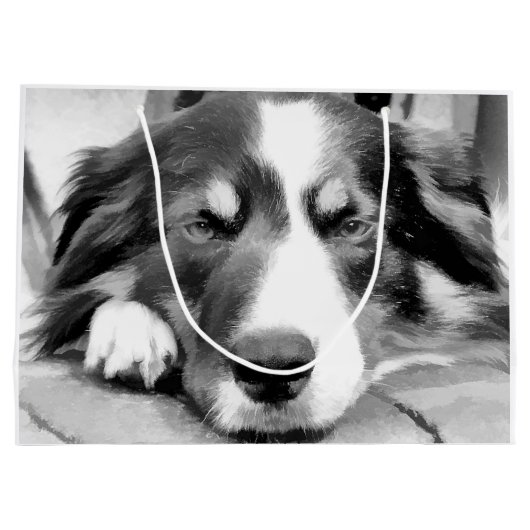 GRENSCOLLIE GROOT CADEAUZAKJE (Achterkant)