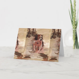 "Grenscollie in de sneeuw"-Wenskaart Kaart