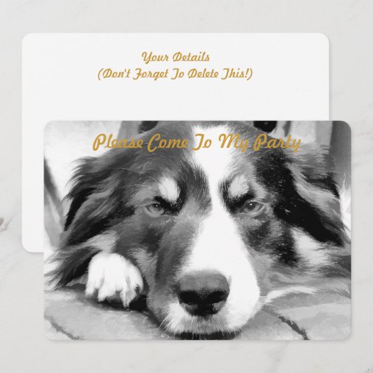 GRENSCOLLIE KAART (Voorkant / Achterkant)