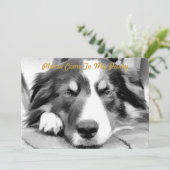 GRENSCOLLIE KAART (Staand voorkant)