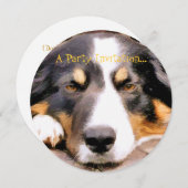 GRENSCOLLIE KAART (Voorkant / Achterkant)