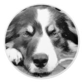 GRENSCOLLIE KERAMISCHE KNOP (Voorkant)