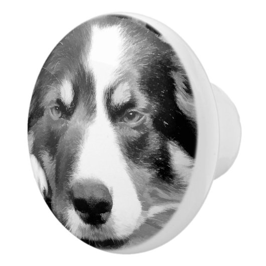 GRENSCOLLIE KERAMISCHE KNOP (Rechts)