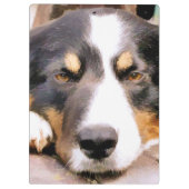 GRENSCOLLIE KLEMBORD (Achterkant)