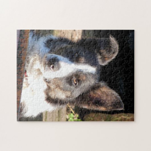 GRENSCOLLIE LEGPUZZEL (Horizontaal)