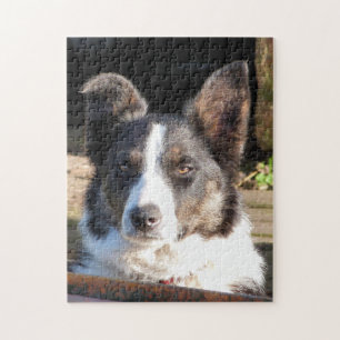 GRENSCOLLIE LEGPUZZEL