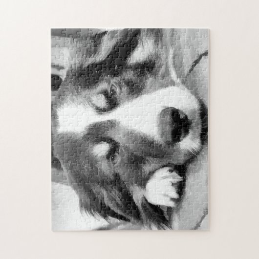 GRENSCOLLIE LEGPUZZEL (Verticaal)