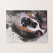 GRENSCOLLIE LEGPUZZEL (Horizontaal)