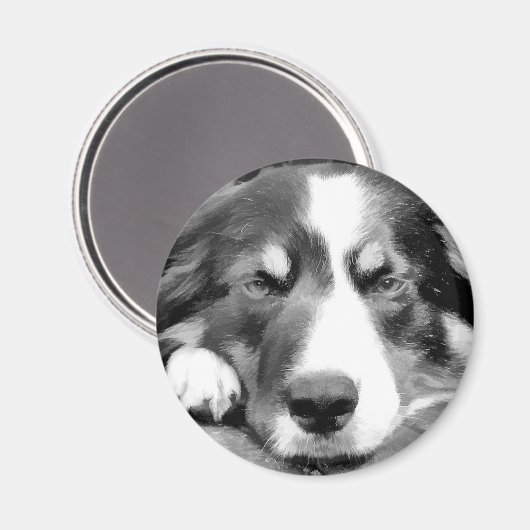 GRENSCOLLIE MAGNEET (Voorkant / Achterkant)