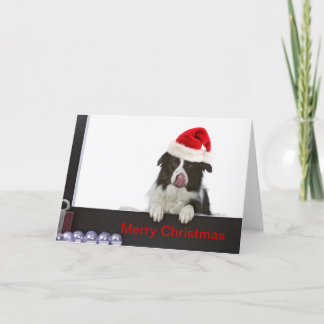 grenscollie met het kerstse pet feestdagen kaart