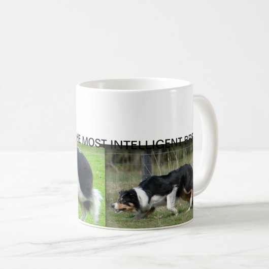 GRENSCOLLIE-MOK KOFFIEMOK (Voorkant rechts)